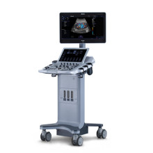 Ecografos Acclarix LX25