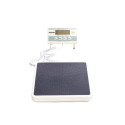 Bascula Adulto Health o Meter 349KLX.