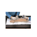Brazo Pinchazo Arterial Nasco LF00995U